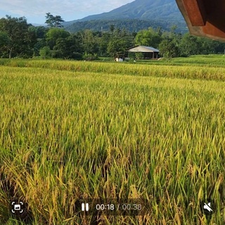 imageProfile