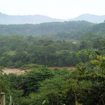imageProfile