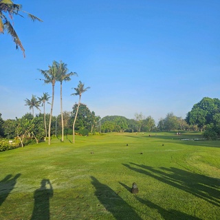 imageProfile