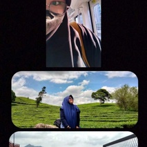 imageProfile