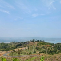 imageProfile