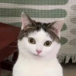 imageProfile