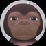 imageProfile