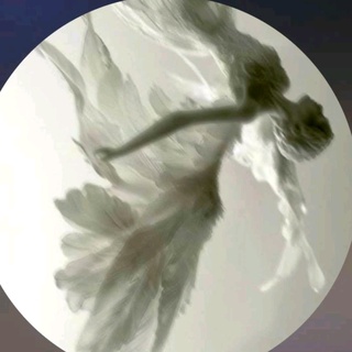 imageProfile
