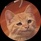 imageProfile