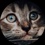 imageProfile