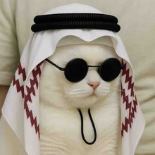 imageProfile