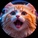 imageProfile