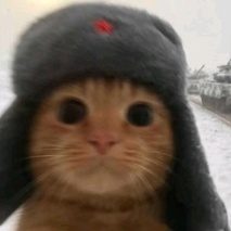 imageProfile