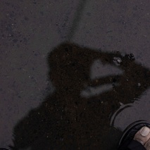 imageProfile