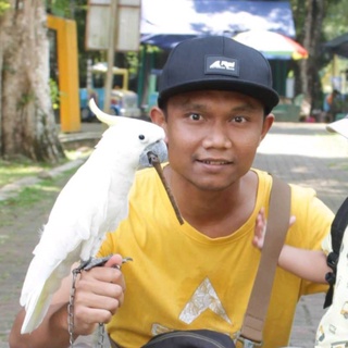 imageProfile