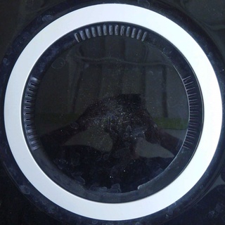 imageProfile