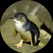imageProfile