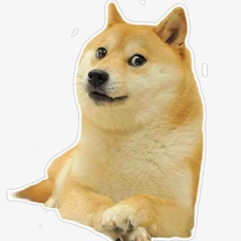imageProfile