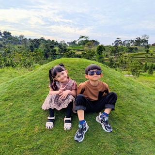 imageProfile