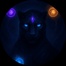 imageProfile