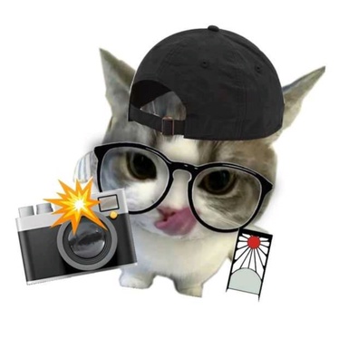 imageProfile