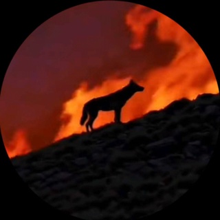 imageProfile