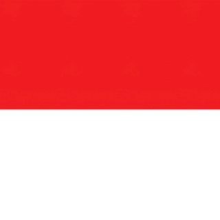 imageProfile
