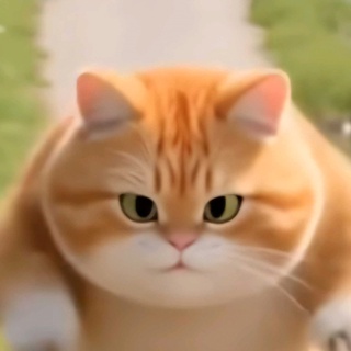 imageProfile
