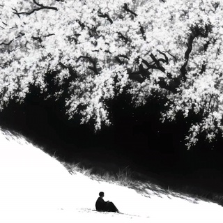 imageProfile