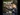imageProfile